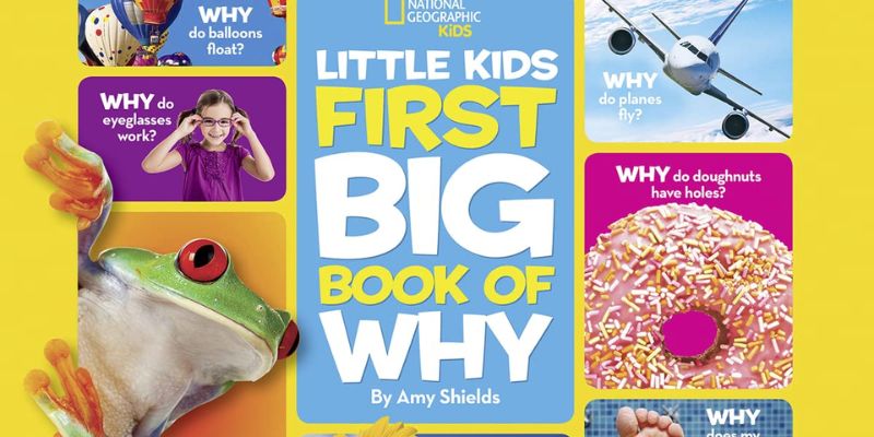 Educational Gifts For 4 Year Old